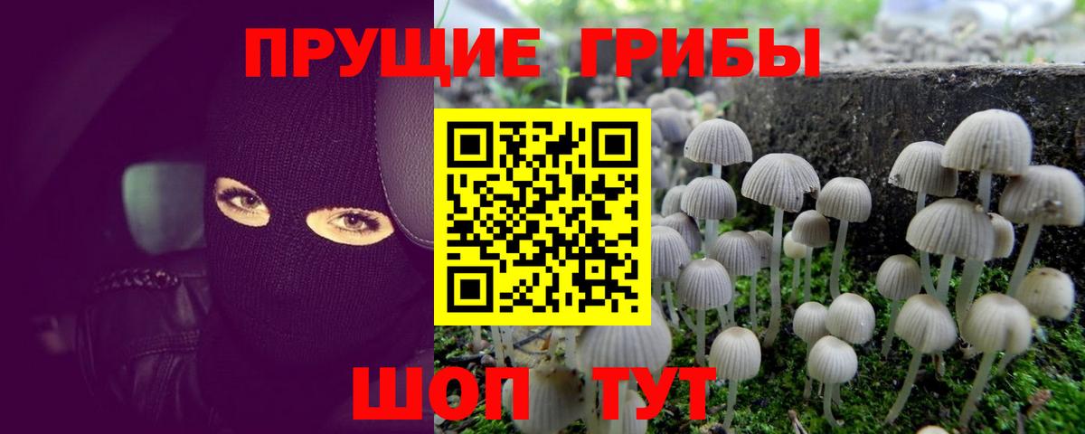 Псилоцибиновые грибы прущие грибы Вязьма